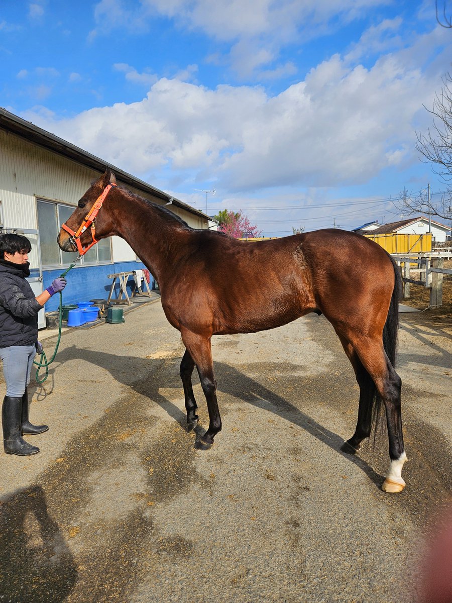 西山茂行 (@seiun0005) / Posts / X