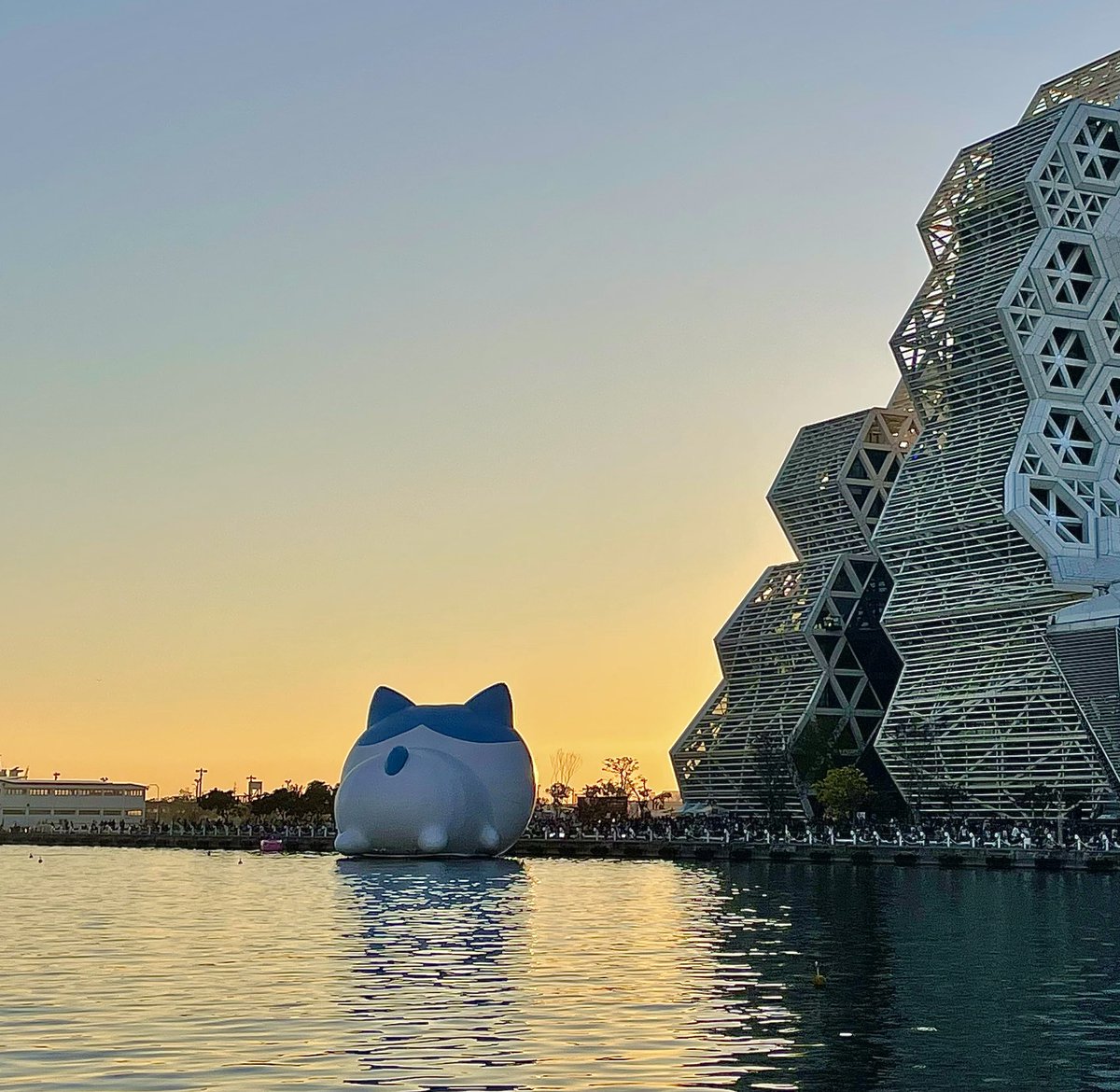 一年前に高雄のちいかわイベントで撮ったハチワレ
最終日の前日に撮ったからか、夕焼けに向かう後ろ姿がなんだか少し寂しく見える🌆