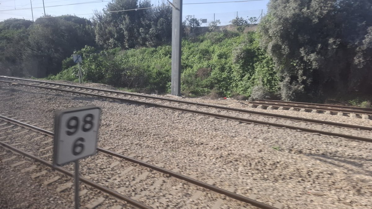 NimrodDegani's tweet photo. כולי צמרמורות וגועל. נוסע ברכבת, ושומע שיחה ��ל מנהלת לשעבר מבאר שבע על הבחירות בהסתדרות המורים. כל השיחה על הדילים וסגירת חשבונות.
 
"אם לא תביאי מספיק יסגרו לך את הסניף, אתם שלוחה – יפה יכולה לה��ליט שאין לכם הצדקה"
 
"יש את דיור מוגן פאלאס – יש מלא מנהלים ומורים שנסעו אתמול לטיול בירושלים. להם לא נארגן יותר טיולים, יש להם מספיק. לעומתם דיור מוגן בית יונה – התארגנו ובאו למופת"

על איך בבחירות הקודמות מצאו בית ספר בדימונה שבו 'קנאים' הצביעו 70% ו' (ולא לסיעה של יפה – אמ"י) ואיך באו איתם חשבון.

השיטה היא שכל יו"ר סניף דואג ל'שמן' גמלאים בהטבות, מתנות, טיולים מאורגנים שיבואו להצביע לו. הכל בכסף שגובים בכפייה מהמורים וממיליונים שמשרד החינוך מזרים. 
 
איזה טרגדיה שכך נראה הגוף שמחליט על חינוך ילדנו.
לפרק ולהרכיב מחדש.