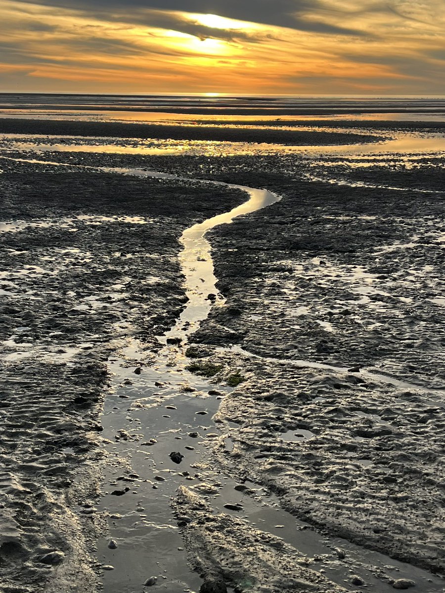 RoyWallyWorld's tweet photo. Too bad that there is no pot in pot holes!

#DeepThoughts #AaronPanther https://t.co/jS7bsZm2sy