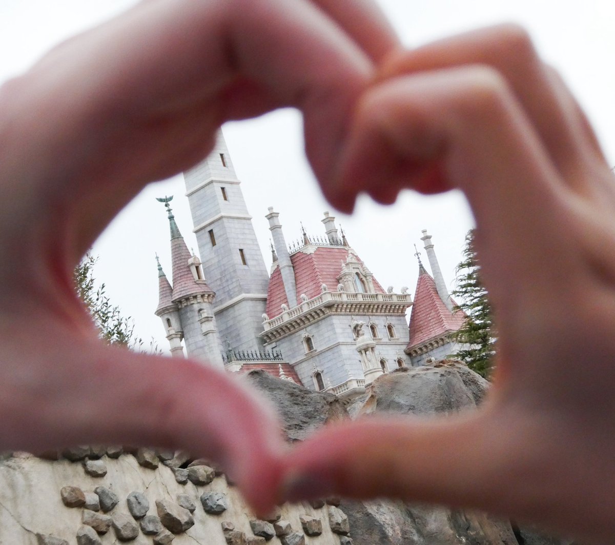 brechenzz's tweet photo. 夢のような時間だった～🏰 ⟡.· https://t.co/gS9iQb4W4N