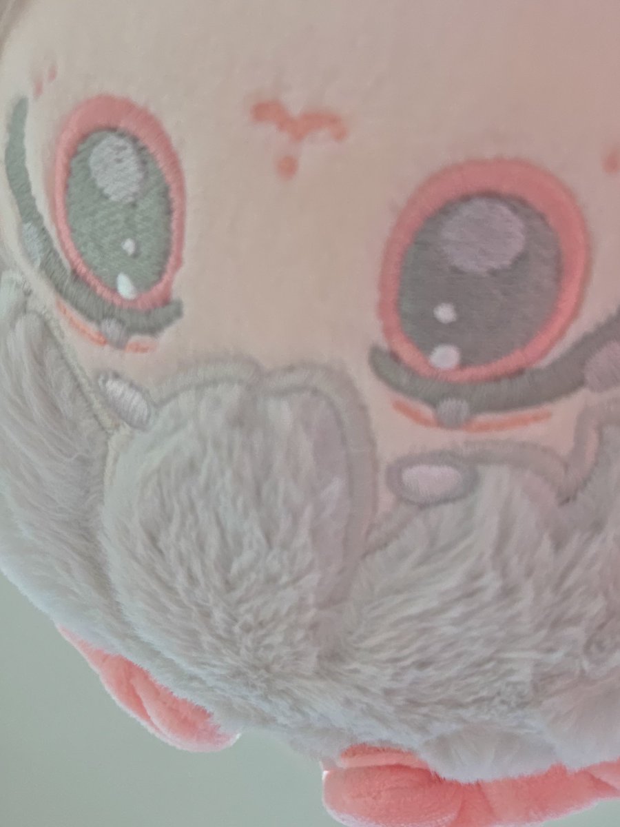 moggidolls's tweet photo. 🐰 : 이거 사진 찍히는 거예요? https://t.co/dEzU5OGTop