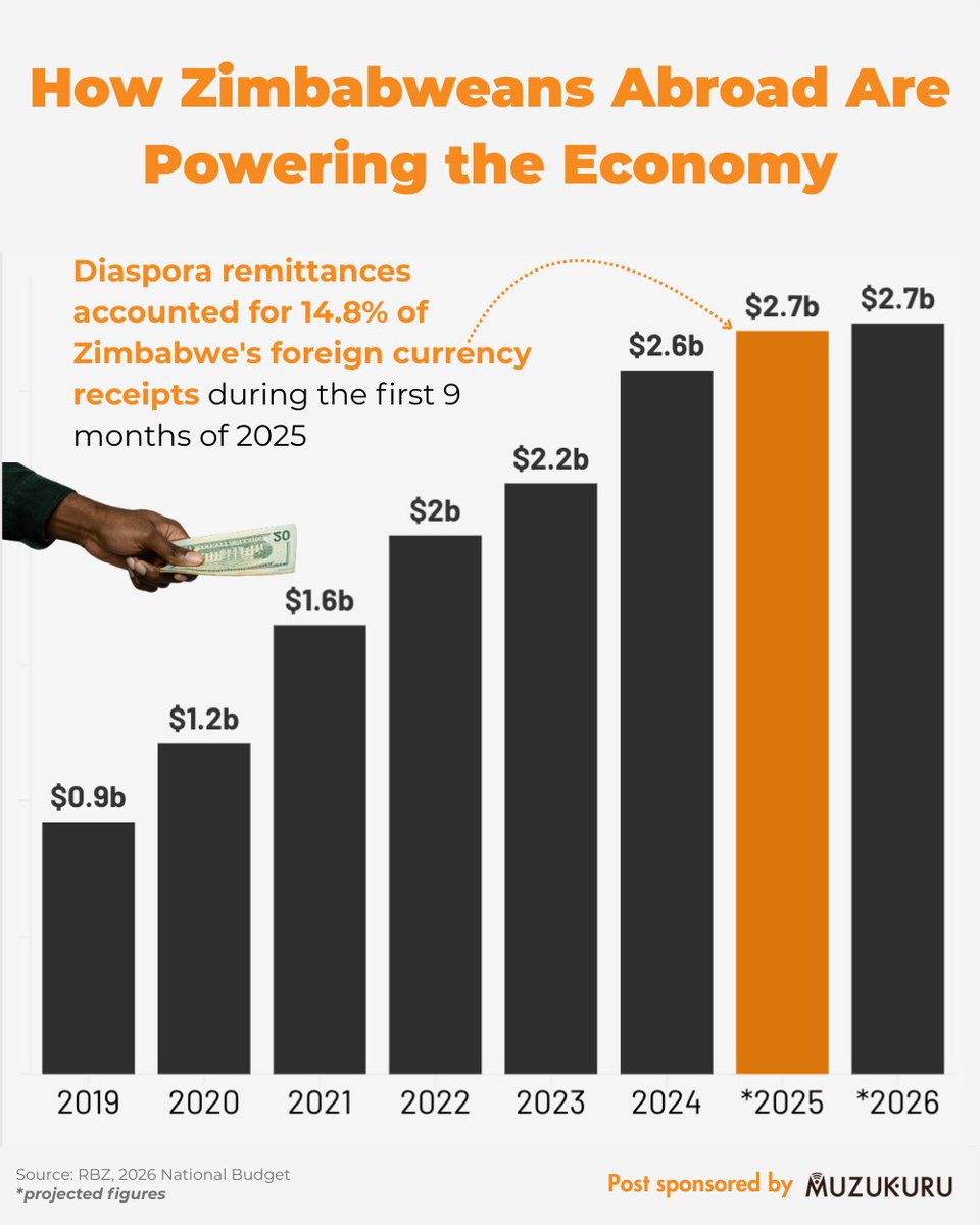 DailyViz ZW🇿🇼 tweet media