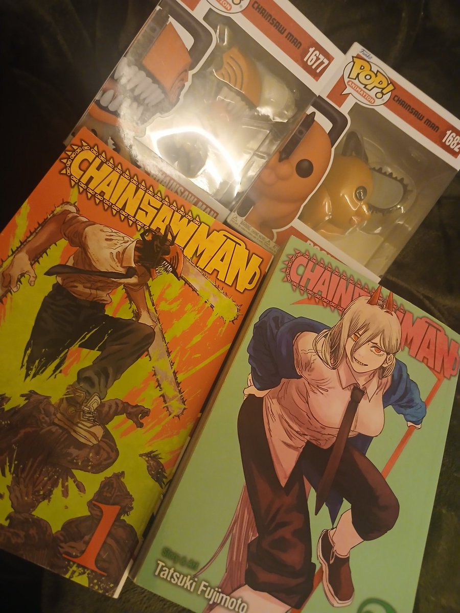 jottsdottir's tweet photo. told my brother in law i was interested in chainsaw man and he threw these in my lap #contractuallyobligated https://t.co/Re3mShvG0B
