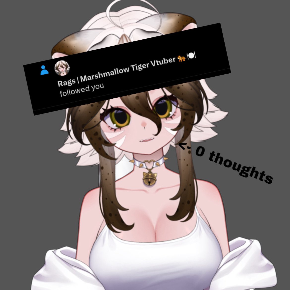 Rags | Marshmallow Tiger Vtuber 🐅🍽️ tweet media