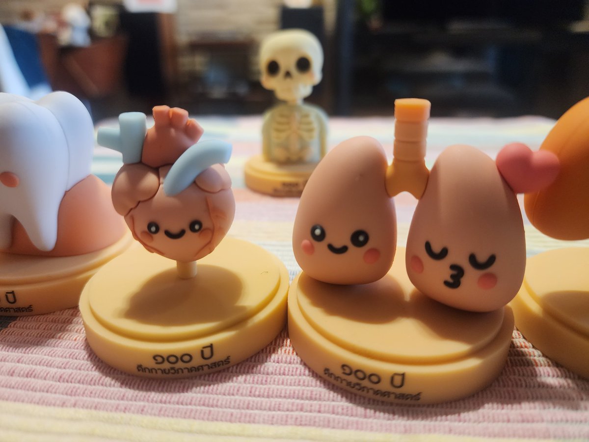 thidakarn's tweet photo. รีวิว Art toy ของที่ระลึกจากการบริจาคให้คณะกายวิภาค ศิริราช ของจริงน่ารักมาก น้องสัมผัสนุ่มเนียน สีอ่อนโยน มีรายละเอียดเหมือนจริง ส่วนตัวเอ็นดูน้องไตกับน้องตับสุด

บริจาคแล้วลดหย่อนภาษีได้ 2 เท่าด้วยค่ะ

ไม่แน่ใจยังมีของมั้ย สอบถามข้อมูลเพิ่มเติมที่  📞02-419-7035 https://t.co/2gXImscz83