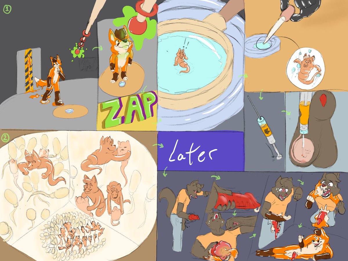 🧡Fenn the Gooiest Fox🧡🇮🇪 tweet media