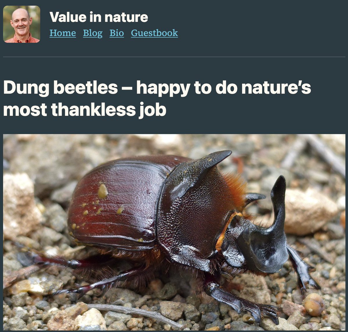 Caterino Arthropod Biodiversity Lab tweet media