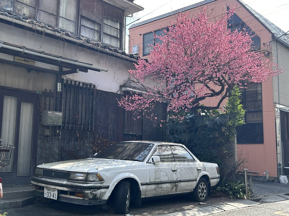 kabangeh🔞 tweet media