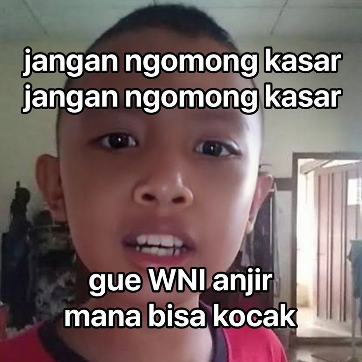 el (@halupulisi) on Twitter photo 