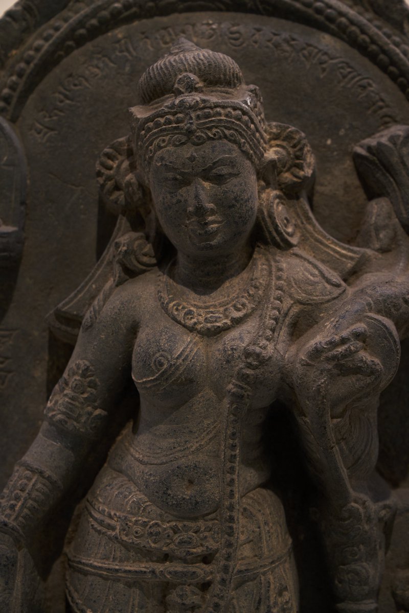 永青文庫 tweet media