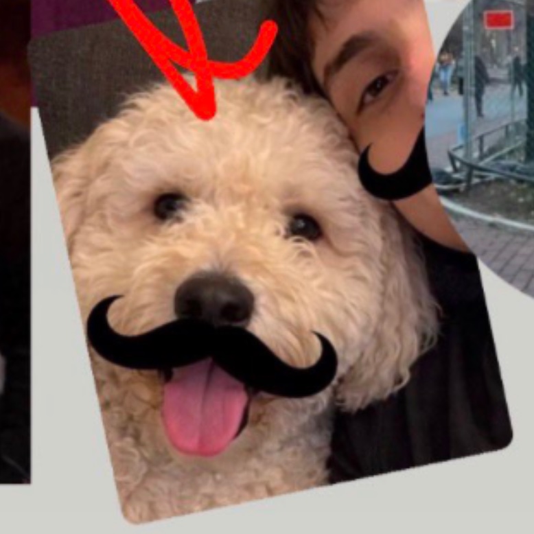 4vrsl's tweet image. #foah ????