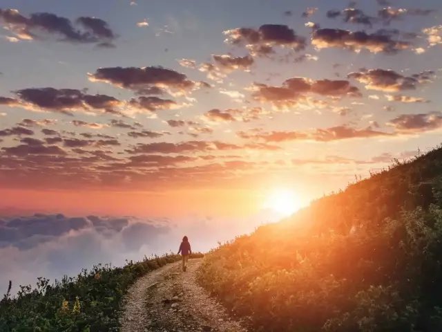 KJS DHILLON🇮🇳 tweet media