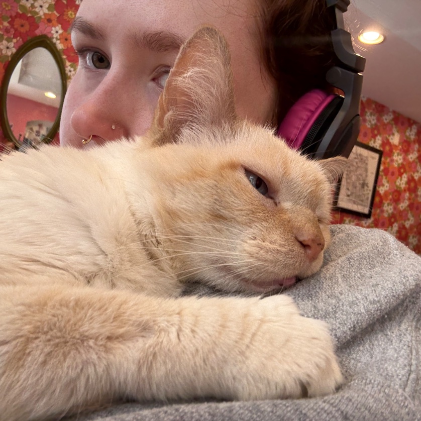 amy, esq. tweet media