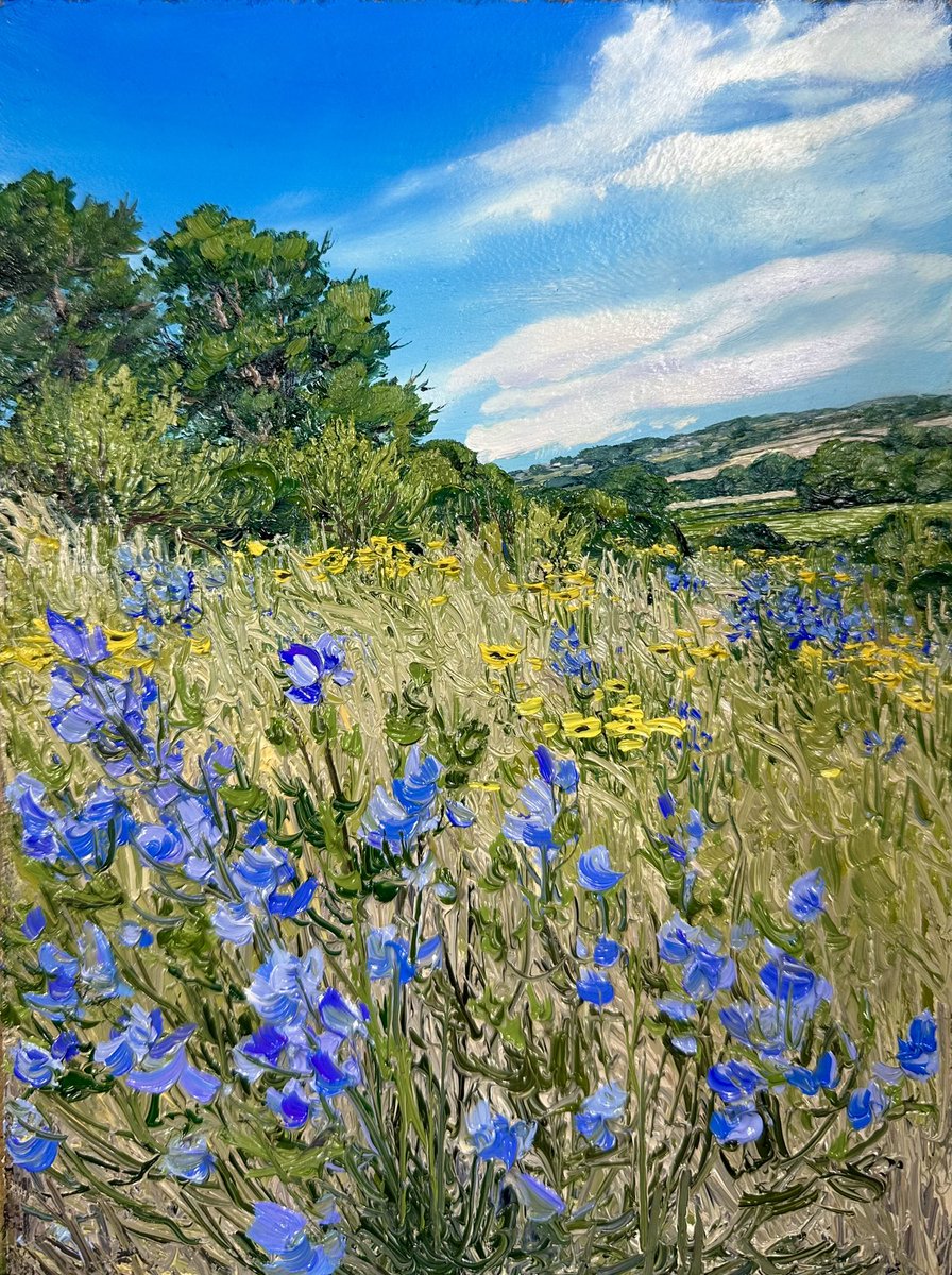 Meadow of Harebell and Hawksbeard
North Yorkshire
8x6” oil
Available!