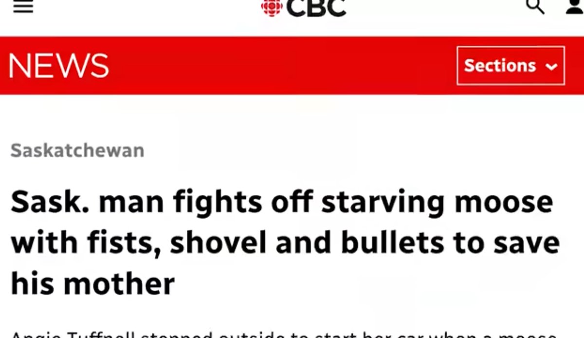 Cbc news with the banger local Canadian Moose fight headline.