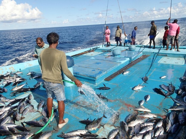 JICA - Japan International Cooperation Agency tweet media