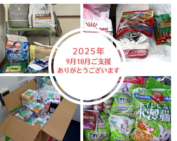 NPO62898321's tweet photo. ご寄贈とご寄付の報告です。
★2025年9・10月　
ご寄贈　太田みー様、コナン様、M田様、I村様、A様、
ご寄付　K原様

★2025年11月　
ご寄贈　ワークショップRONRON&amp;S様、S田様、T様、TM様、I様
ご寄付　匿名（paypay）

保護動物たちにありがたく使わせていただいています。ありがとうございました！ https://t.co/lJbcDm2rEs