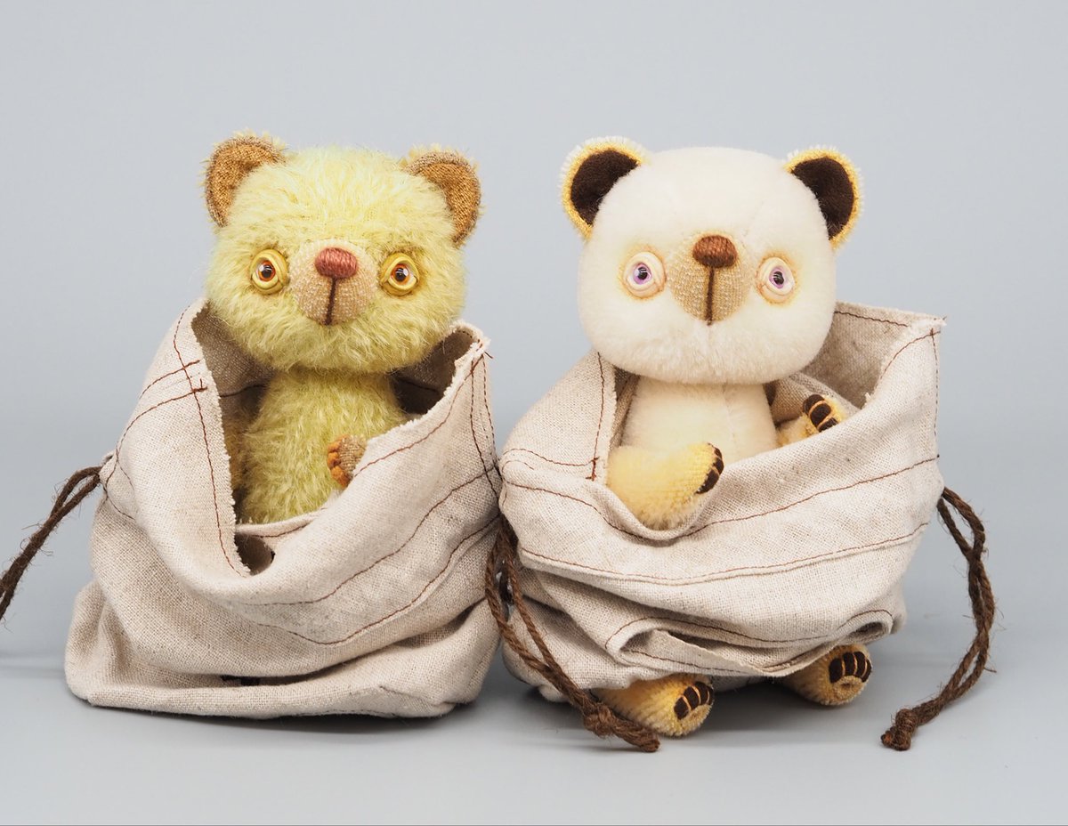 滝澤綾花 tweet media