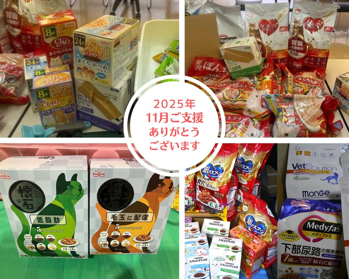NPO62898321's tweet photo. ご寄贈とご寄付の報告です。
★2025年9・10月　
ご寄贈　太田みー様、コナン様、M田様、I村様、A様、
ご寄付　K原様

★2025年11月　
ご寄贈　ワークショップRONRON&amp;S様、S田様、T様、TM様、I様
ご寄付　匿名（paypay）

保護動物たちにありがたく使わせていただいています。ありがとうございました！ https://t.co/lJbcDm2rEs