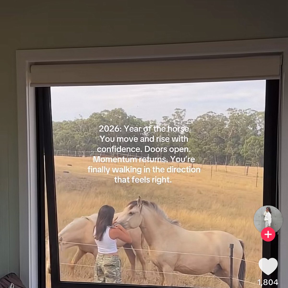 Me cae bien ese caballo