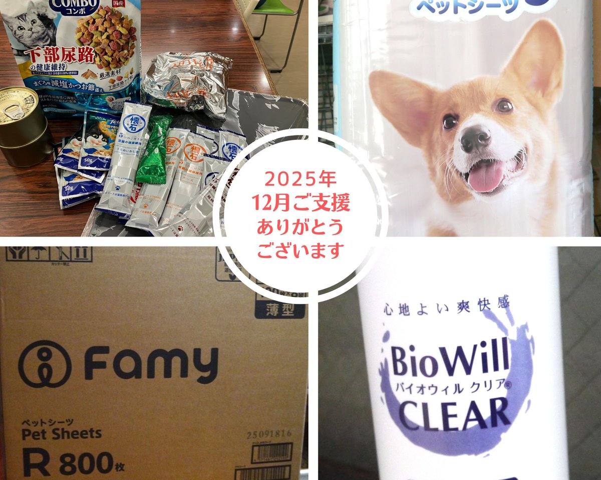 NPO62898321's tweet photo. ★2025年12月
ご寄贈　T様、お名前不明様（Amazon）
ご寄付　I様

保護動物たちにありがたく使わせていただいております。ありがとうございました！ https://t.co/wqQvIQozdX