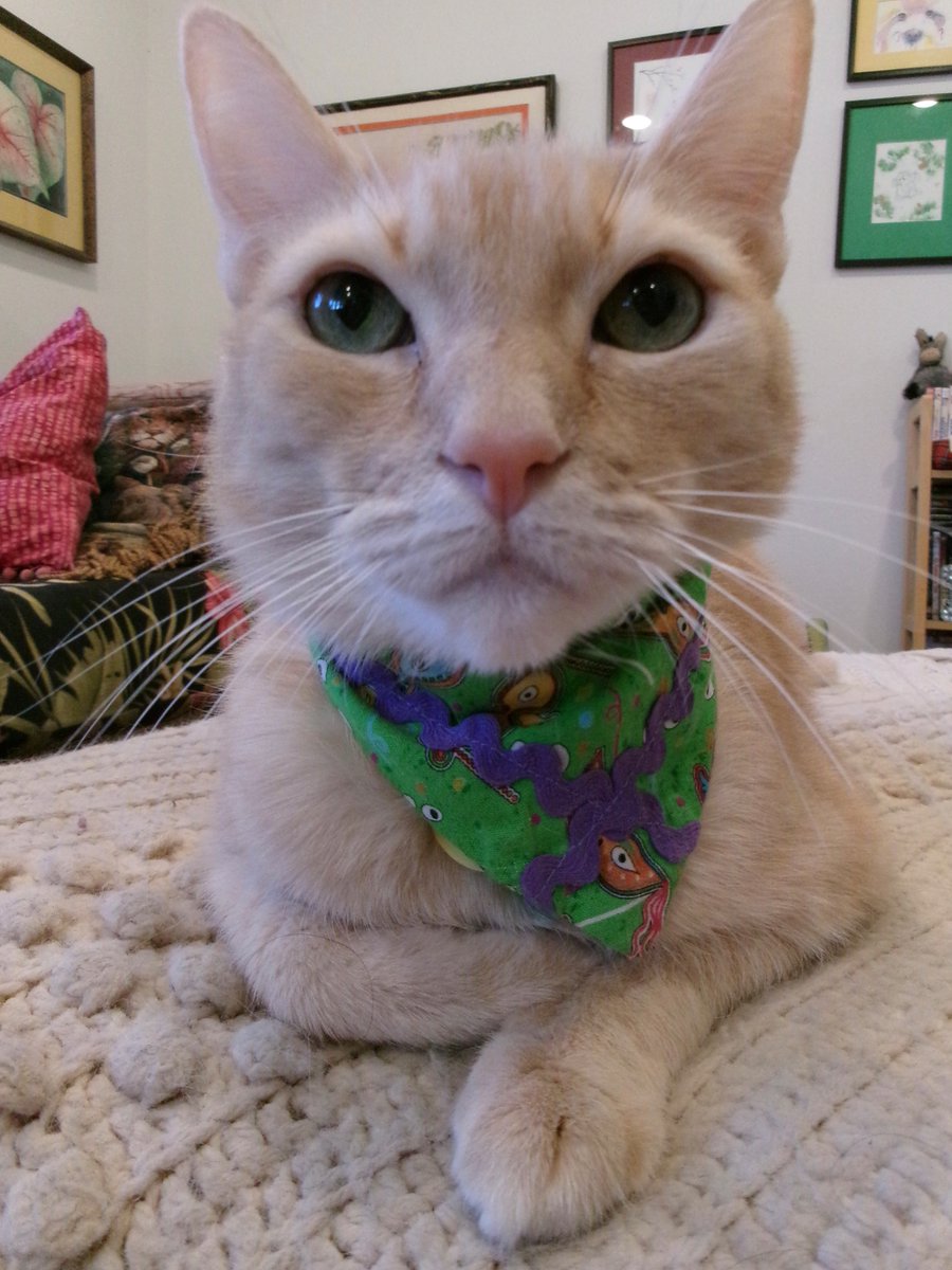 Travis Ford tweet media