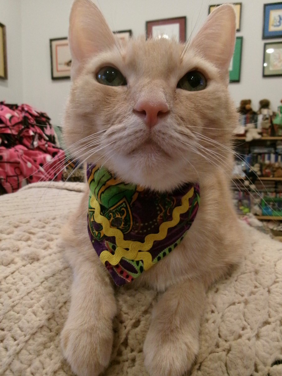 Travis Ford tweet media