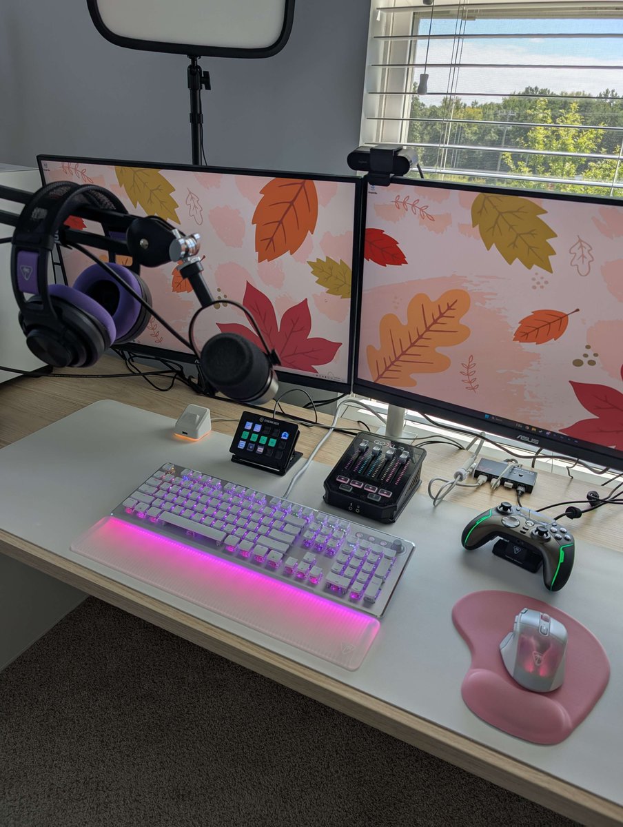 HappyKrakenX's tweet photo. My happy place ๐ฉท powered by @TurtleBeach ๐ด
#TurtleBeachPartner #sponsored https://t.co/tAReohzP62