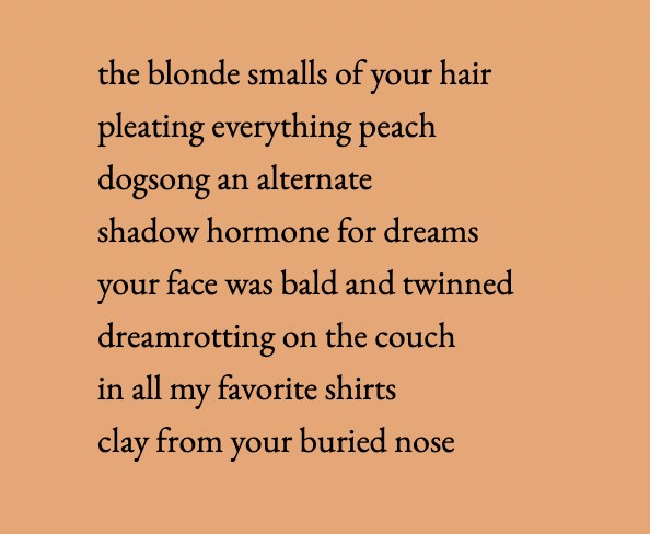 Alina Stefanescu tweet media