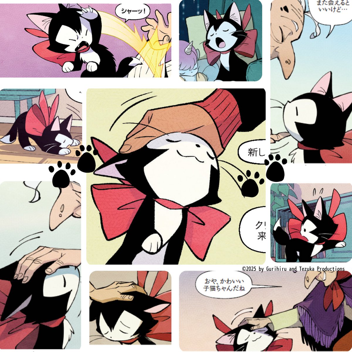 猫の日デビューの黒猫🐈‍⬛クロエちゃん。 今度お見知りおき よろしく