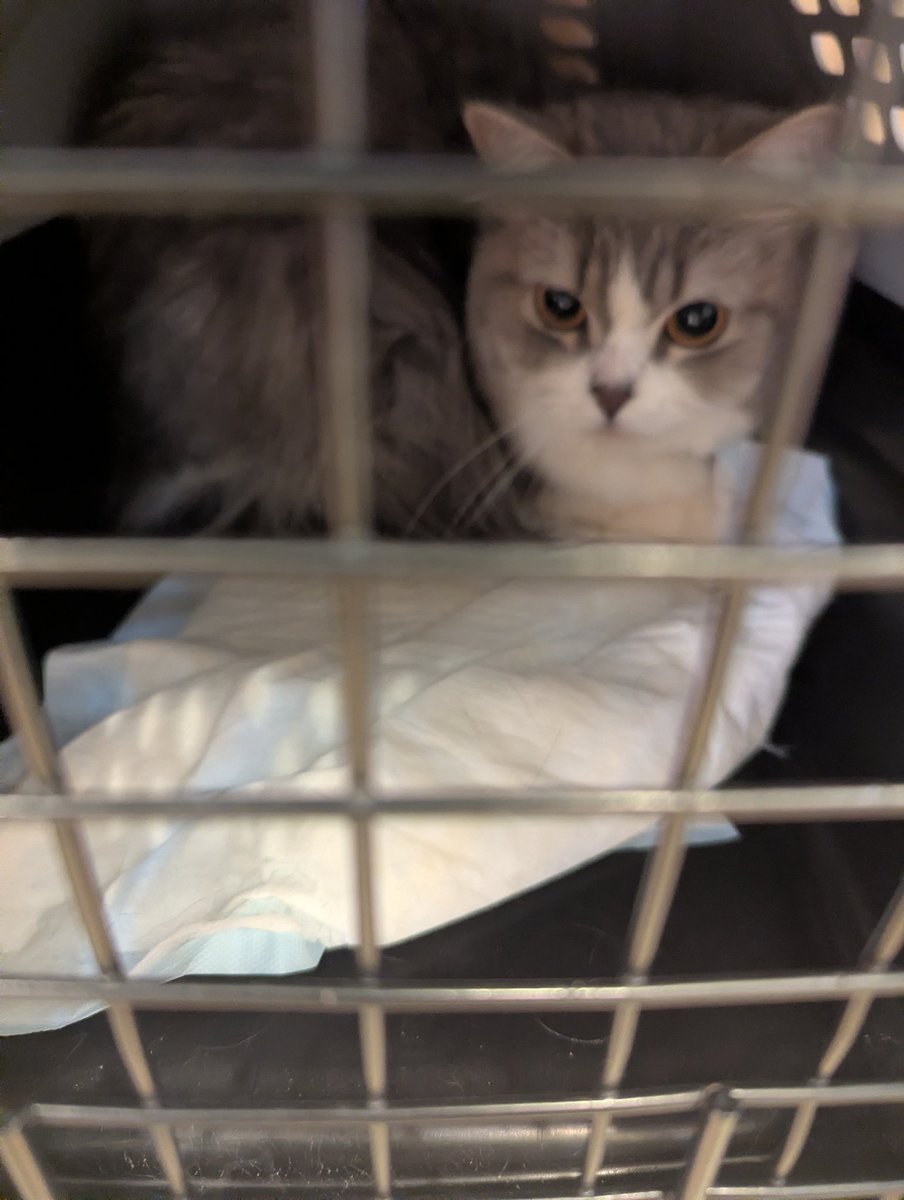 かずまる (@kazmaru_son) / Posts / X