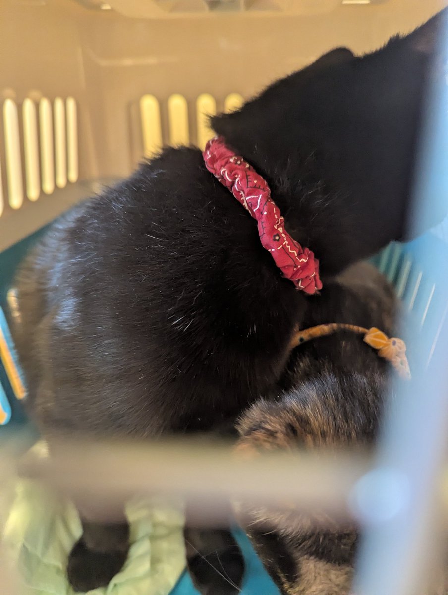 かずまる (@kazmaru_son) / Posts / X