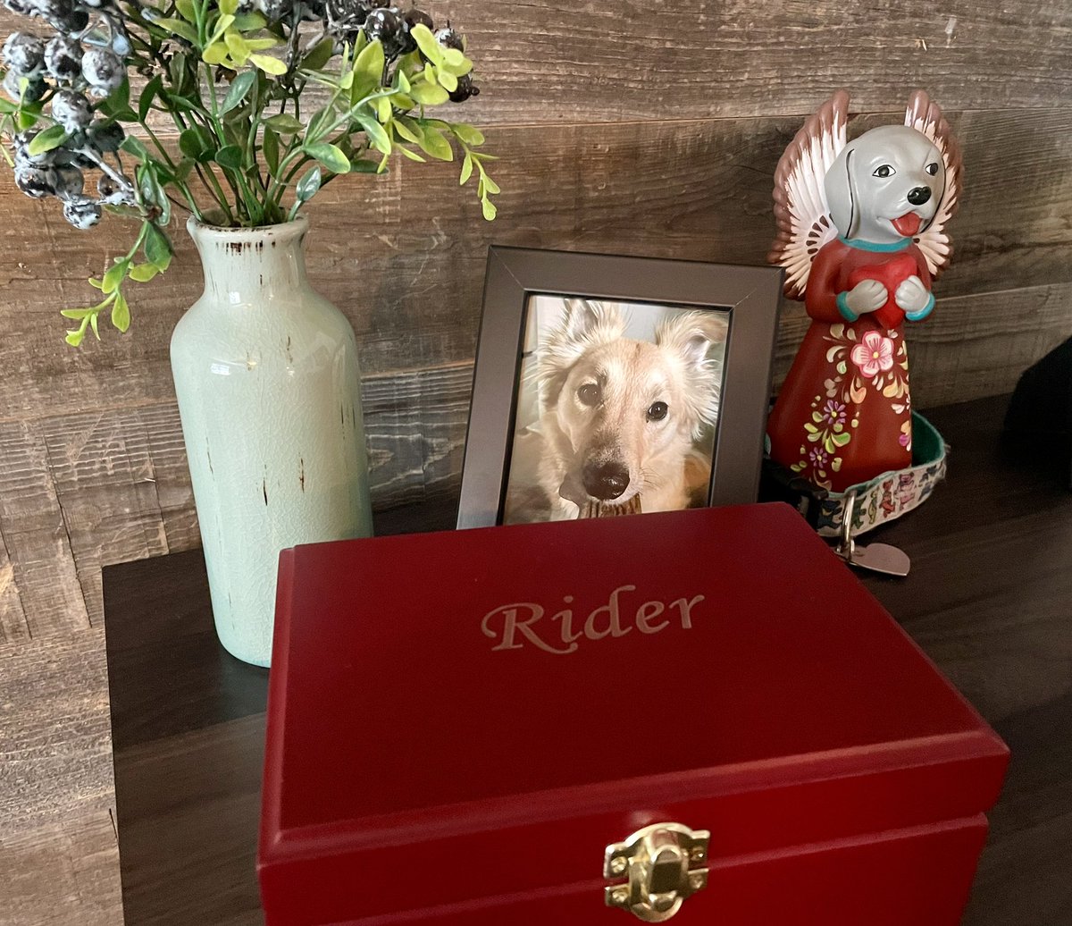 Vic Vela tweet media