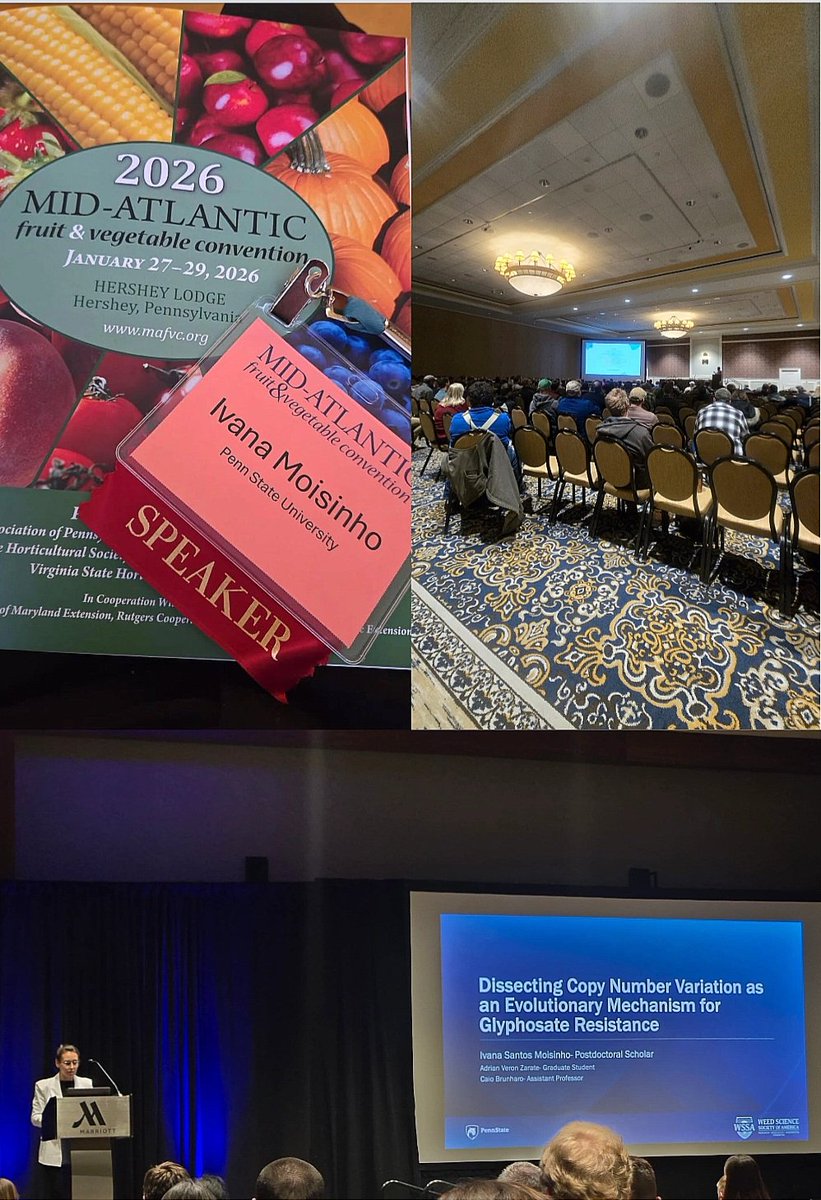 ivana_moisinho's tweet photo. Had a great past weeks sharing research on weed control in apple orchards at #MAFVC and presenting our work on Palmer amaranth at #WSSA2026. Grateful for the chance to engage with the community and catch up with friends!
#WeedScience #AgResearch #Genomics @agsciences https://t.co/3JIoMu7Rcr