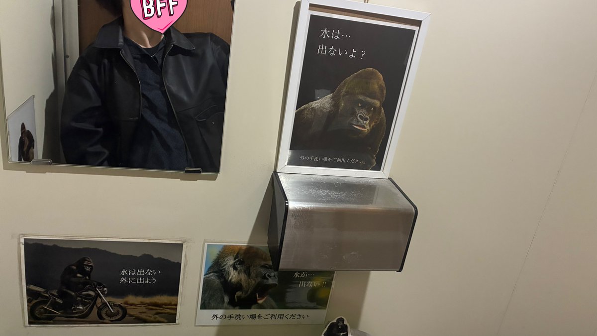 tyankamooo_mint's tweet image. コンビニのトイレ入ったらゴリラの主張強くて笑った。