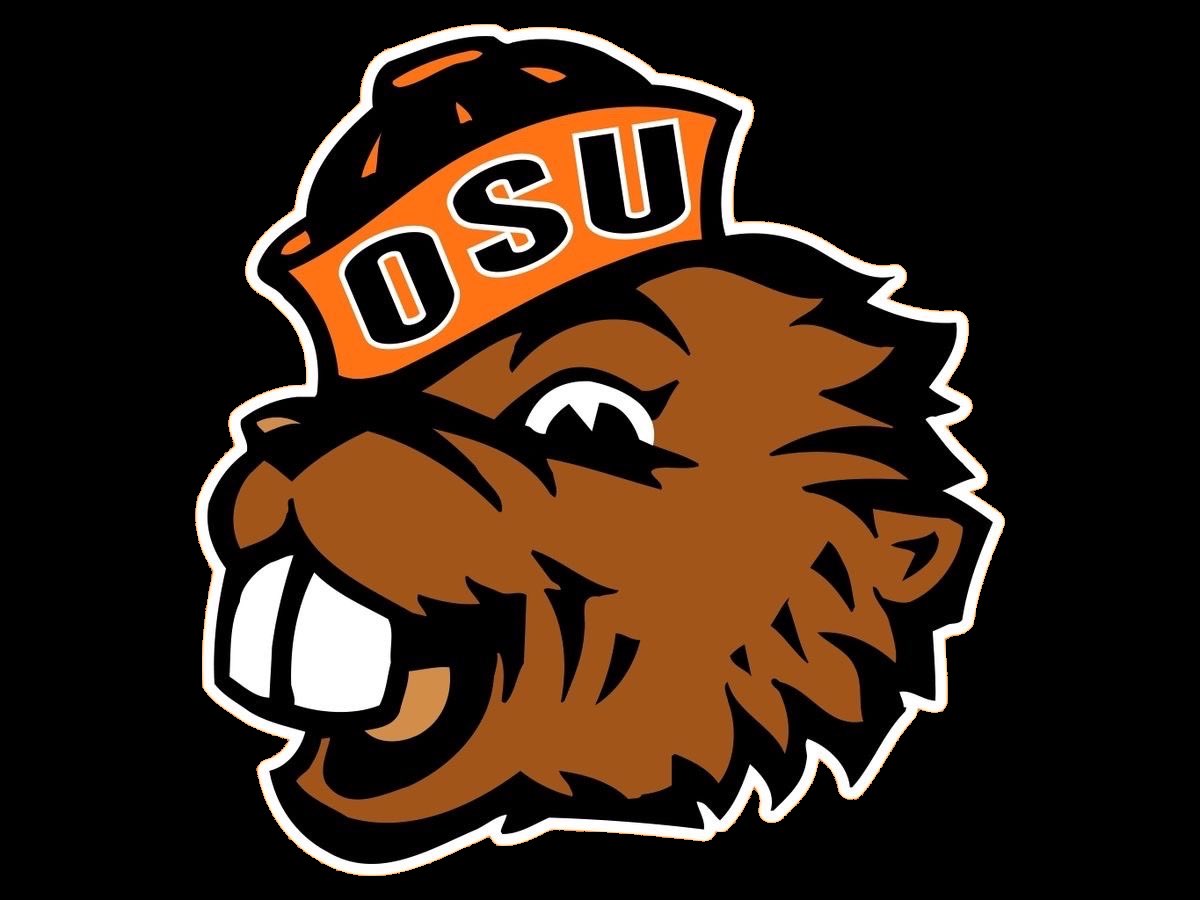 Jazz Lewis tweet media