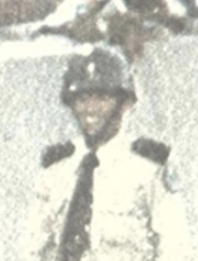 Seba Martínez tweet media