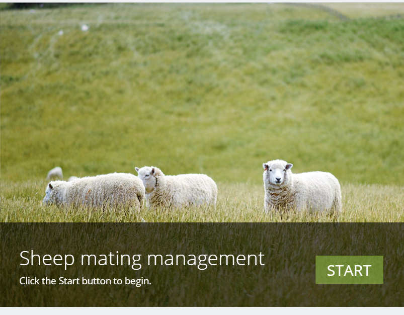 NZBeefLamb's tweet photo. Plan for successful mating. This B+LNZ online learning module covers how to optimise ewe ovulation, manage body condition, and apply best‑practice mating strategies. Check it out: https://t.co/8i2Cd6GLfg https://t.co/R2AXC7bMn9