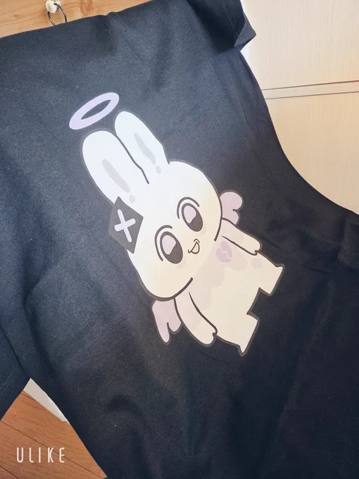 届いた!あまりに可愛すぎる