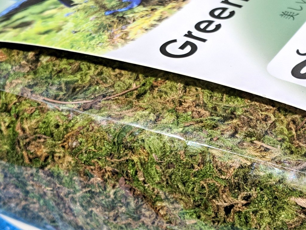 こういうイモリやカエルに使用するレイアウト苔ってどこでどう調達したらいいんだろ？って感じでしたが、今後かめんちゅカートで買えるんですね🥹✨1点のみ。欠品はお取寄せ。

入荷速報 新入荷！
邑楽ファーム　Green moss3.78L | かめんちゅカート turtlekeepercart.jp/ca45/973/p-r-s/