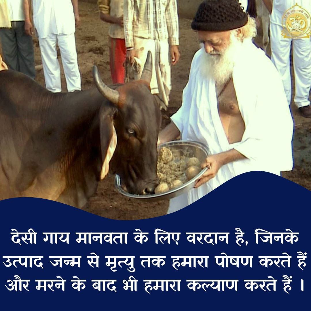 #DesiGaay
Gau Raksha
Adbhut Labh
Sant Shri Asharamji Bapu - गाय जहां निवास करती हैं वहां की भूमि बहुत पवित्र हो जाती है वहां रोग नहीं पनपते , वहां भूत,प्रेतों का उत्पात नहीं होता।
