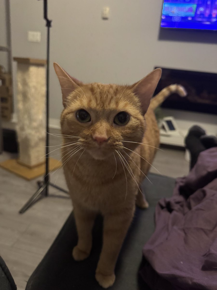 ethical hater tweet media