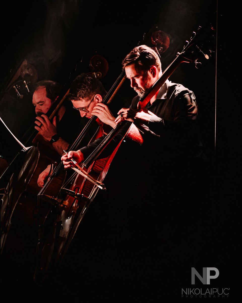 Nikolai Puc tweet media