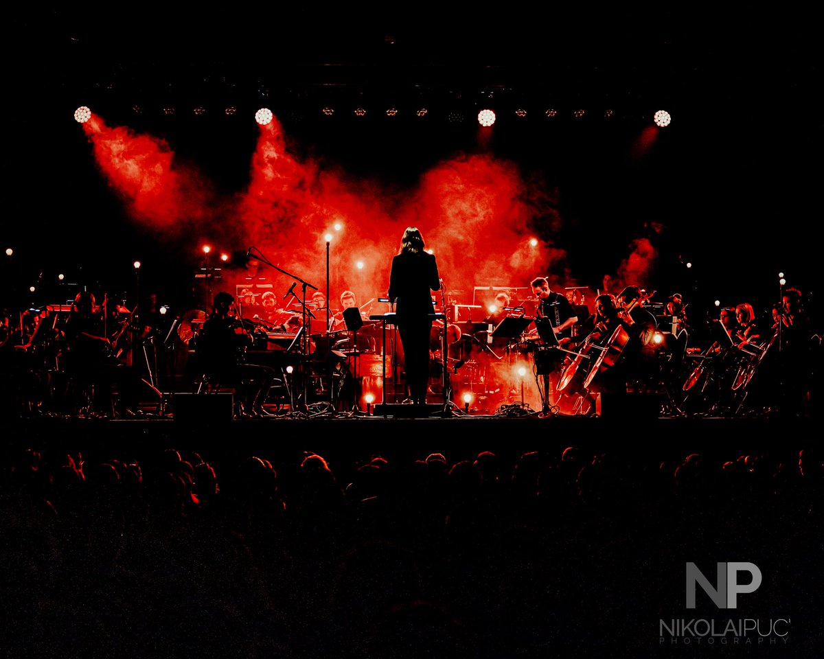 Nikolai Puc tweet media