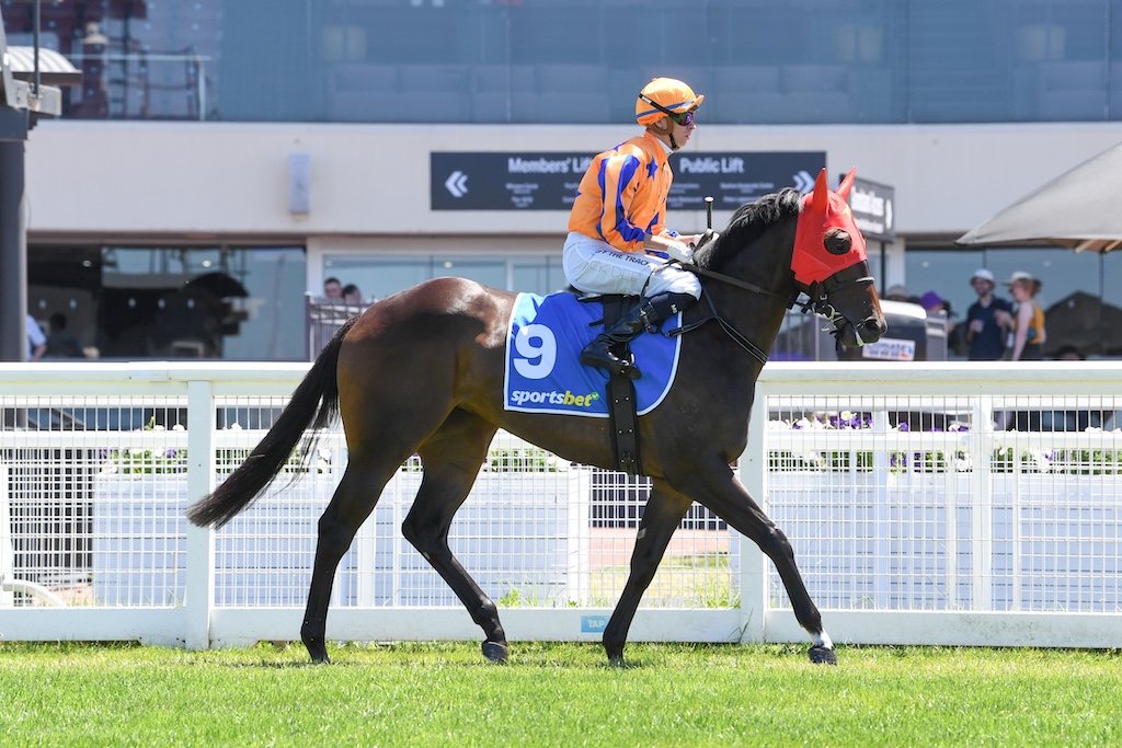 ThoroughbredNEWS tweet media