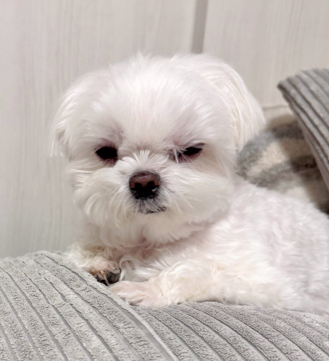 น้องหนาว