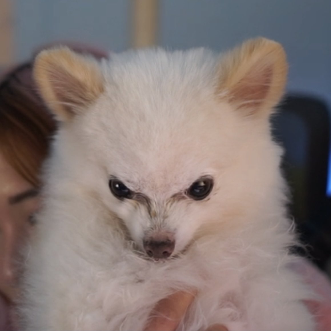 Miyoung Archive tweet media