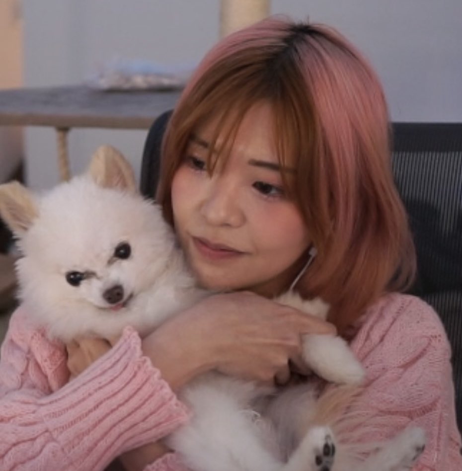 Miyoung Archive tweet media