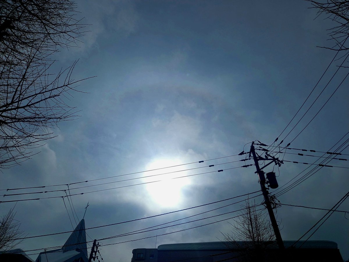 公園散歩の余裕が
ちょっぴりできた
久しぶりの
ちょっぴりのハロも🌈☀️